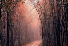 德天空：如果哈维-西蒙斯决定离开，莱比锡要价8000万欧.