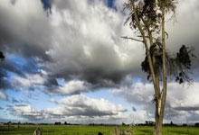 华体会:德容恩:我们不会放弃争冠,但国米是意甲最强和绝对热门.