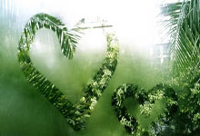 时隔14年 中国女佩再获世界杯团体冠军2025-03-11.