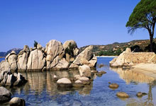 英超球员身价下跌榜：努涅斯、霍伊伦、B席跌1500万欧最多.